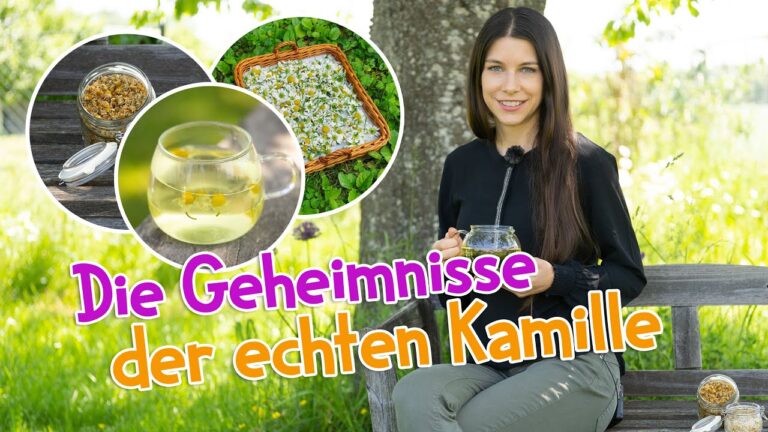 Vorteile der Kr&auml;utertherapie