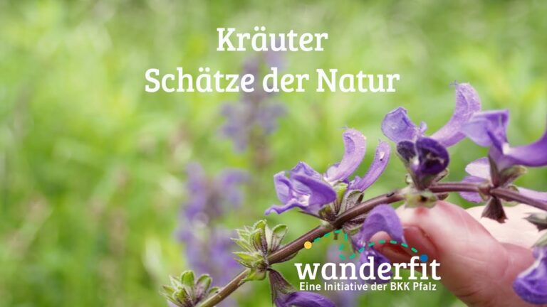 Kr&auml;uterb&auml;der: Wirkung auf die Atmung im Fokus