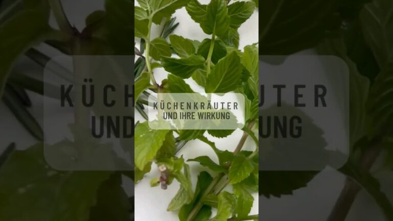 Kräuterbäder: Gesundheitliche Vorteile und Wirkungen