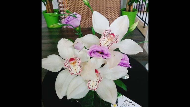 Geschenkgutscheine f&uuml;r Thai-Massagesalons: Entspannung verschenken