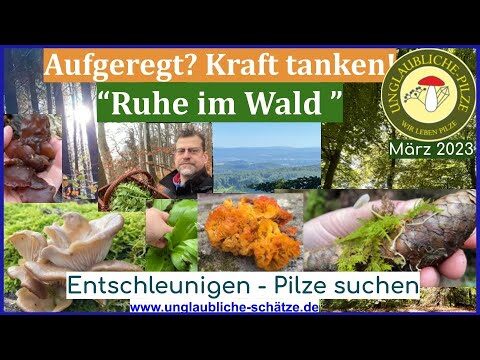 Kr&auml;uterbasierte Entspannungstechniken f&uuml;r Wohlbefinden